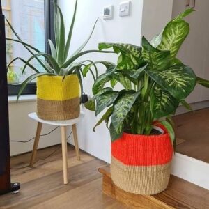 Sisal Planter Baskets