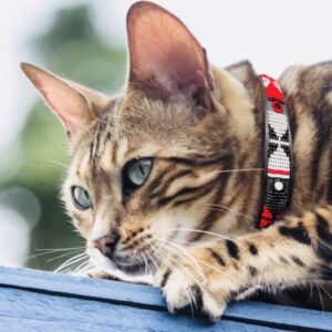 Handcrafted Beaded Pet Collar